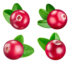 Wall Mural - Cranberry collection. Cranberry with clipping path isolated on a white background. Fresh organic vegetable. Full depth of field