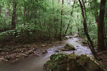 Poster - Peaceful Stream in Arkansas