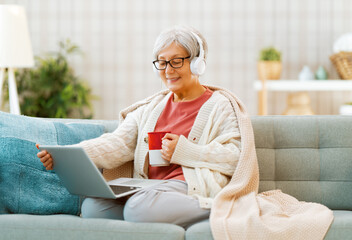 Wall Mural - senior woman is using laptop