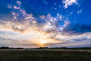 Wall Mural - landscape with sunrise and sun on a cloudy blue sky over the field in summer