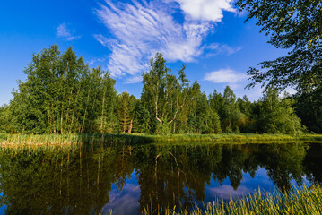 Wall Mural - natural summer landscape with river in forest and green meadow