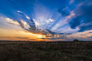 Wall Mural - beautiful colorful sunset with orange rays of the sun in the blue sky in the evening in autumn
