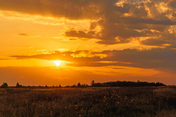 Wall Mural - landscape with Golden sunset in autumn in the field