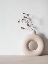 Round Stylish Ceramic Vase With Dried Plant