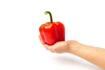 Wall Mural - Red bell pepper in hand isolated on white