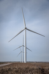 wind farm