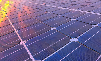 Wall Mural - photovoltaic panels in the light of the setting sun-close-up