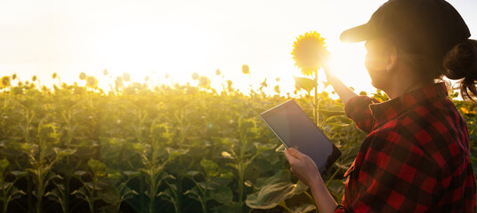 Fototapete - Farmer  with a digital tablet in the agricultural field.
