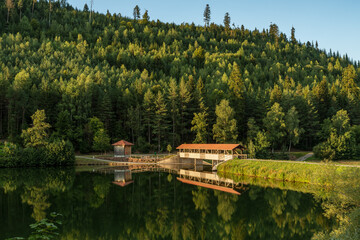 Bridge over the Nagoldtalsperre (Nagold reservoir) in the Black Forest near Freudenstadt, Baden-Wuerttemberg, Germany