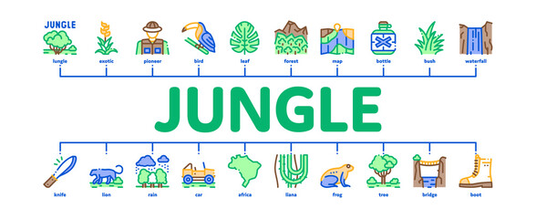 Wall Mural - Jungle Tropical Forest Minimal Infographic Web Banner Vector. Jungle Tree And Animal, Waterfall And Wood, Flower And Bush, Boot And Car Color Illustration