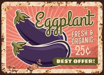 Eggplants metal plate rusty, vegetables poster retro, vector vintage farm market food price menu. Eggplants veggie and greenery agriculture, green organic products, natural bio vegetarian harvest