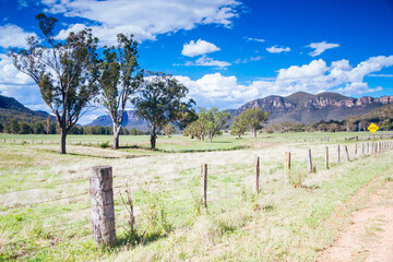 Wall Mural - Hunter Valley Landscape in Australia