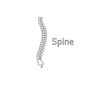 © GlopHetr - Human spine, anatomy, backbone icon. Vector illustration.