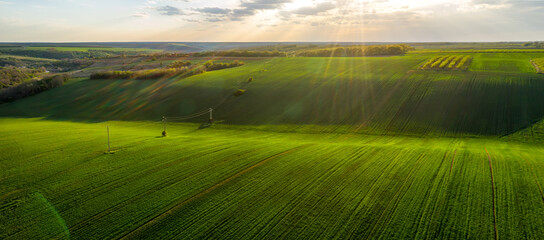 Wall Mural - aerial view of beautiful countryside with green rolling field in golden hour before sunset..