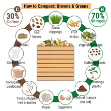 Infographic Of Garden Composting Bin With Scraps. What To Compost. Green And Brawn Ratio For Composting. Recycling Organic Waste. Sustainable Living Concept