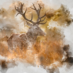 Wall Mural - digital watercolor painting of beautiful image of red deer stag in vibrant golds and browns of autum