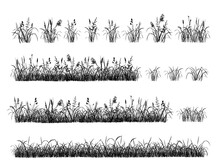 Set Of Hand Drawn Grass. Separate Tufts Of Grass, Compact Lawns. Black Silhouettes Isolated On White Background. Illustration, Brushes. 