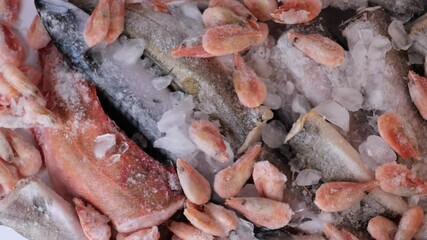 Wall Mural - variety of frozen sea sustainable food, fish, shrimps, mackerel, hake, perch, trout, salmon with ice in market 4K