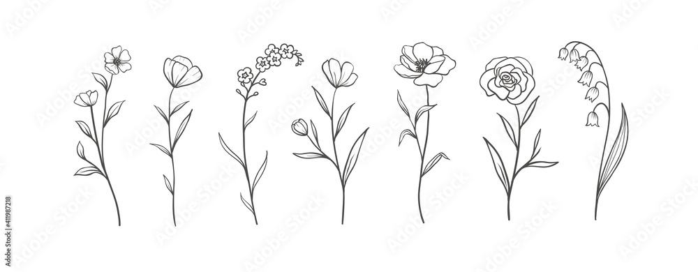 Set of Herbs and Wild Flowers. Hand drawn floral elements. Vector ...