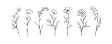 Set Of Herbs And Wild Flowers. Hand Drawn Floral Elements. Vector Illustration