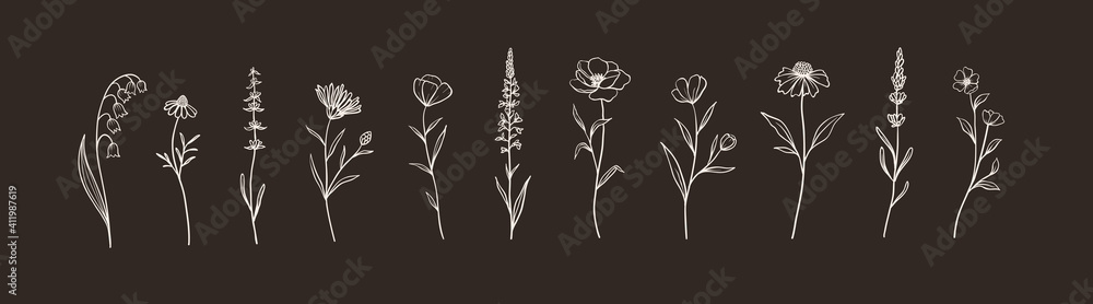 Set of Herbs and Wild Flowers. Hand drawn floral elements. Vector ...
