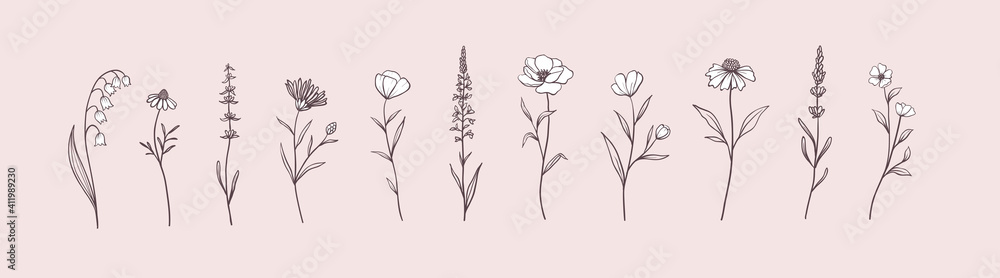 Set of Herbs and Wild Flowers. Hand drawn floral elements. Vector illustration - obrazy, fototapety, plakaty 