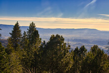 Hiking Figueroa Mountain In Santa Ynez California