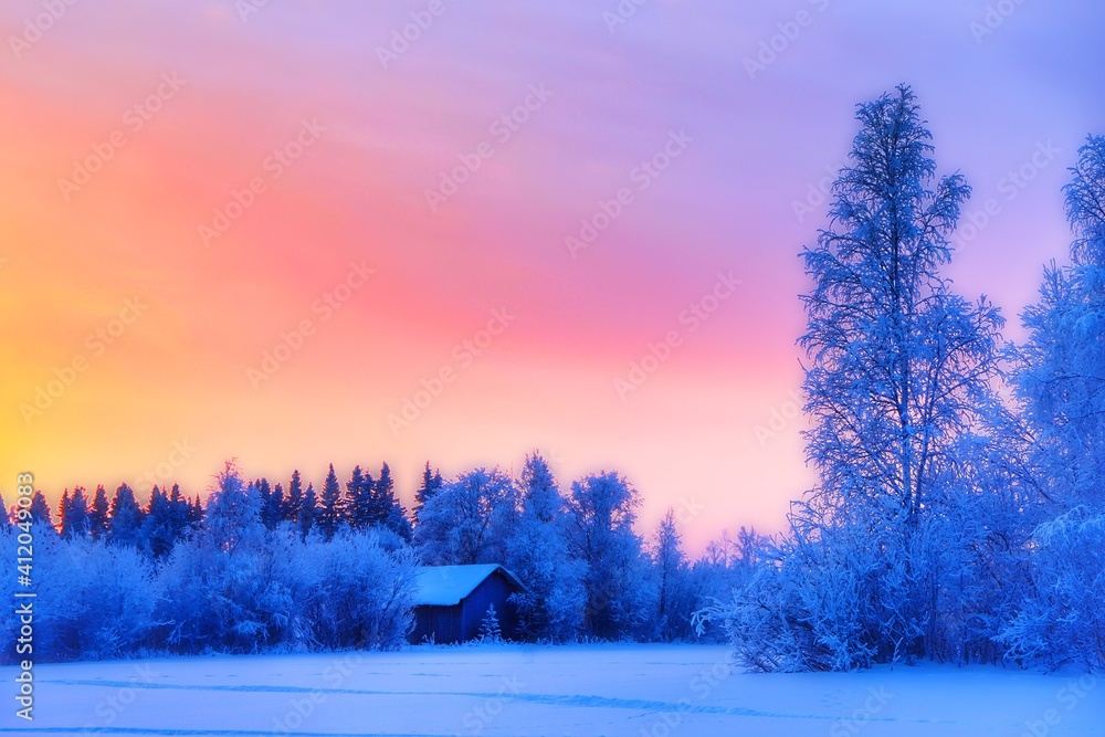 Trees On Snow Covered Field Against Sky At Sunset - obrazy, fototapety, plakaty 