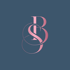 Poster - BS letter logo alphabet monogram icon symbol