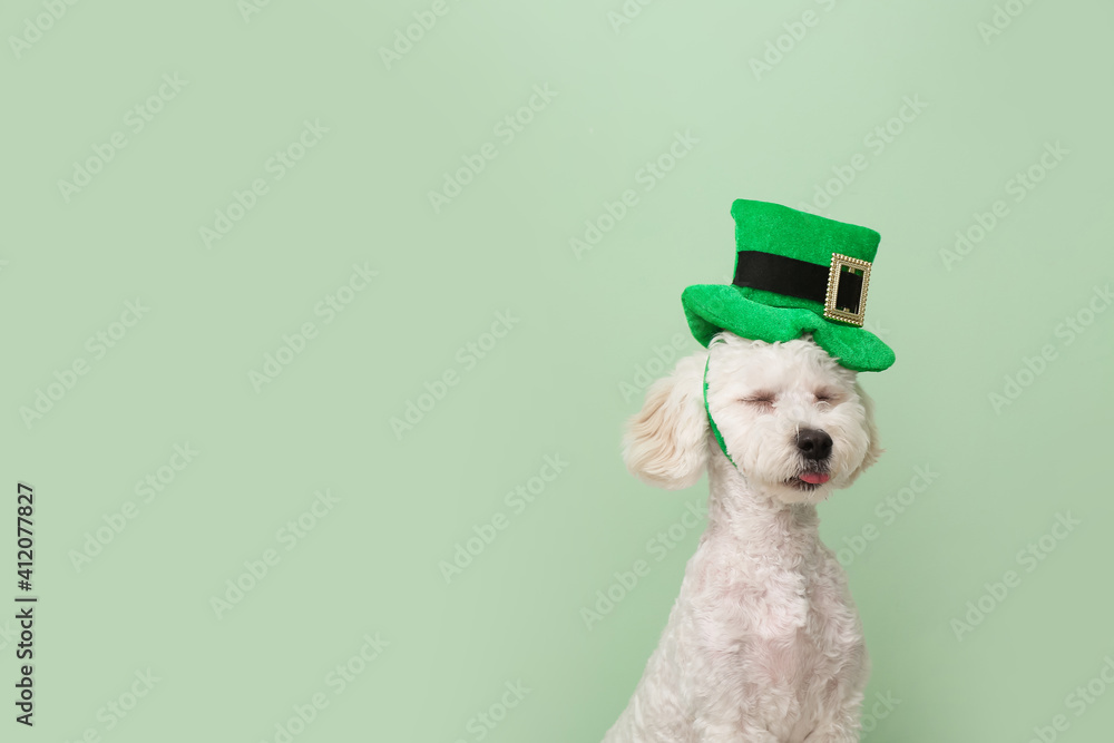 Cute dog with green hat on color background. St. Patrick's Day celebration