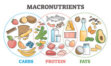 Macronutrients Educational Diet With Carbs, Protein And Fats Outline Concept