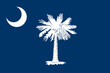flag of the state of South Carolina