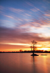Poster - Pond at sunset with silhouette tree, water landscape