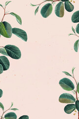 Wall Mural - Green leaf frame vector floral background