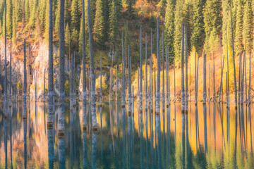 alpine landscape at kaindy lake in kolsai lakes national park in saty, kazakhstan which features sub