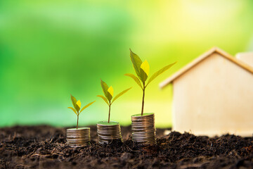 Investor of real estate.  The plants growing on money coin stack for investment home green nature background.   Investment mortgage fund finance and interest rate home loan