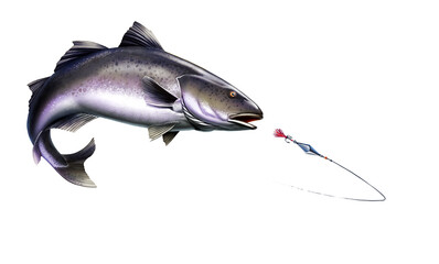 Wall Mural - Black Cod, Sablefish attack fish bait jigs and stakes spoon bait jumping out of water illustration isolate realistic.