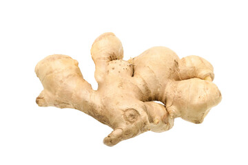 Wall Mural - Fresh ginger rhizome isolated on white background. Clipping path.