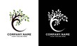 © smith - circle tree logo letter c vector illustration design
