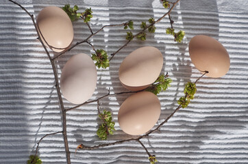 Natural organic beige chicken eggs on a white cloth.  Eggs are decorated with green twigs