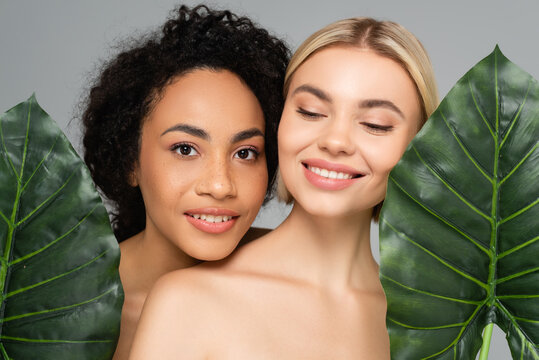 multiethnic women with naked shoulders holding tropical leaves isolated on grey