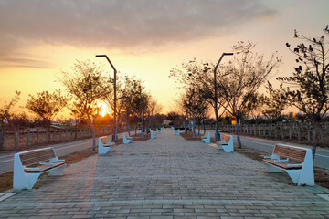 Wall Mural - Taichung Central Park pathway in dusk. Xitun District Shuinan Economic and Trade Area. Former Shuinan Airport. The second largest park in Taiwan.
