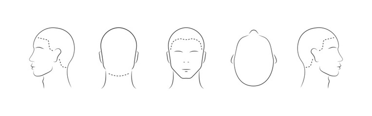 set of human head icons. lined male head in different angles isolated on white background. vector il