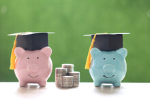 Graduation Hat On Piggy Bank With Stack Of Coins Money On Nature Green Background, Saving Money For Education Concept