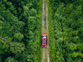 Wall Mural - Aerial view of red car with a roof rack on a forest country road in Finland