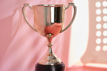 close up of trophy on the white background with holes