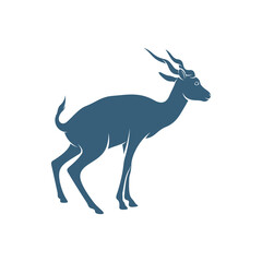  Antelope design vector illustration, Creative antelope logo design concepts template, icon symbol