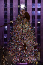 The Famous Christmas Tree At Rockefeller Plaza In New York City