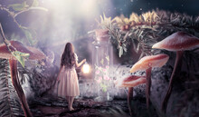 Girl In Dress With Shining Lantern In Hand Walking In Fantasy Fairy Tale Elf Forest, Ghost Blooming Rose Flower Locked In Bottle And Moon Rays, Mysterious Fir Tree And Mushrooms In Magical Elvish Wood
