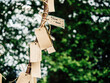© Milena Milani/Stocksy - Tags hanged on a tree